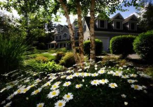 Buy a Home in Fort Lauderdale